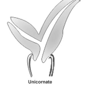 Chromosome abnormality